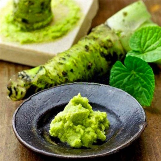 A Guide To Making Homemade Wasabi Paste For Sushi Dishes